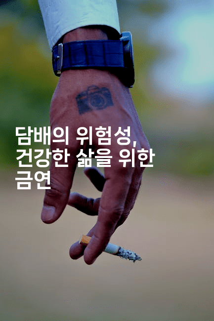담배의 위험성, 건강한 삶을 위한 금연
2-건강플러스