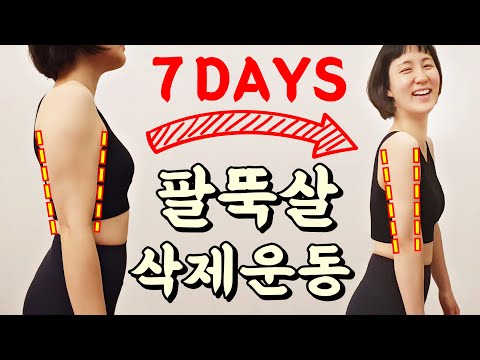 5분! 팔뚝살 빨리빼는운동 / 상체 다이어트 [팔뚝살 마라맛🔥]