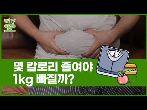 [Why요?] 몇 칼로리 줄여야 1㎏ 빠질까?