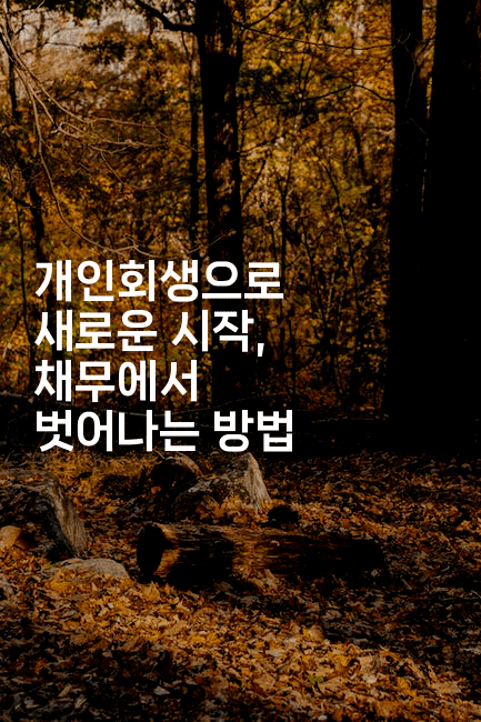 개인회생으로 새로운 시작, 채무에서 벗어나는 방법