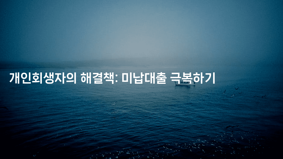 개인회생자의 해결책: 미납대출 극복하기-건강플러스