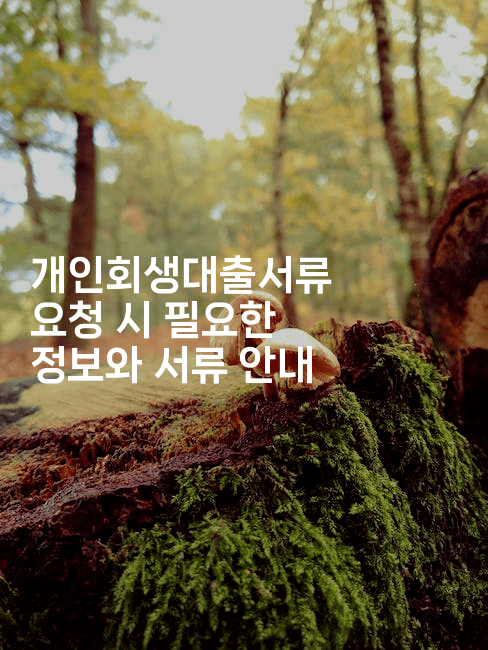 개인회생대출서류 요청 시 필요한 정보와 서류 안내-건강플러스