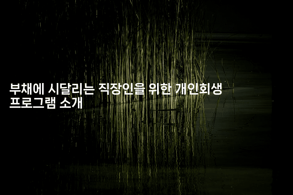 부채에 시달리는 직장인을 위한 개인회생 프로그램 소개-건강플러스