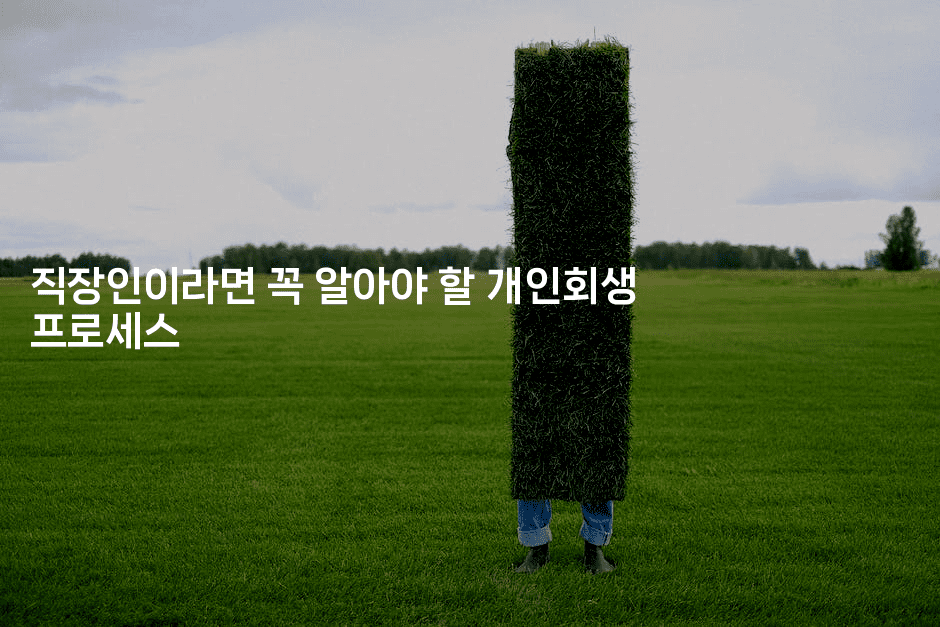 직장인이라면 꼭 알아야 할 개인회생 프로세스-건강플러스