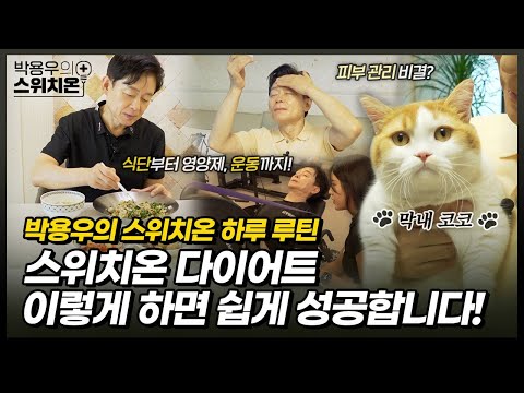 창시자가 알려주는 스위치온 다이어트 무조건 성공하는 비법 대공개(식단, 영양제, 운동, 고양이까지) | 박용우의 스위치온