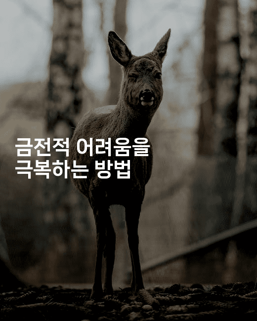 금전적 어려움을 극복하는 방법-건강플러스