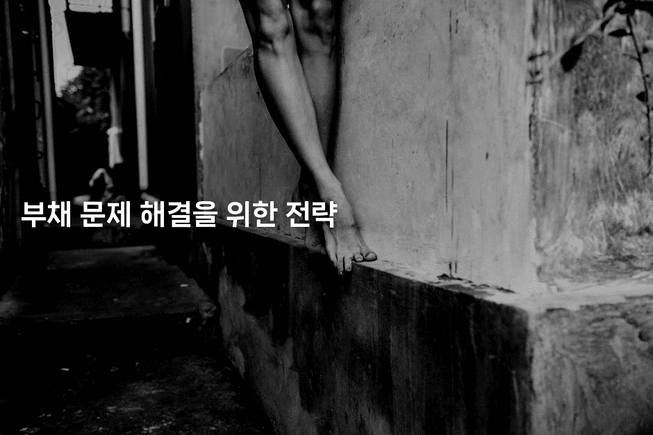 부채 문제 해결을 위한 전략-건강플러스