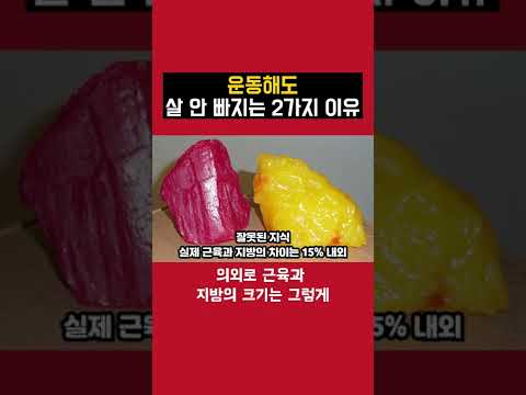 운동해도 살 안 빠지는 두가지 이유