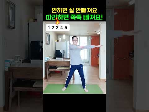 신년 다이어트 계획! 따라하면 빠집니다! #뱃살제거 #다이어트 #유산소운동 #살빼는운동