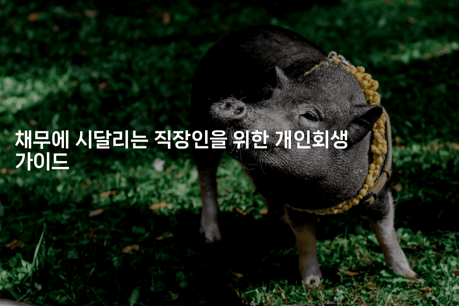 채무에 시달리는 직장인을 위한 개인회생 가이드-건강플러스