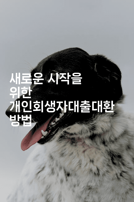 새로운 시작을 위한 개인회생자대출대환 방법-건강플러스